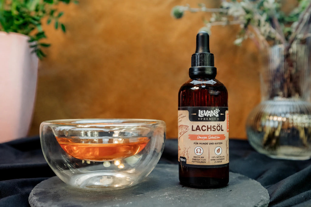 Salmon Oil