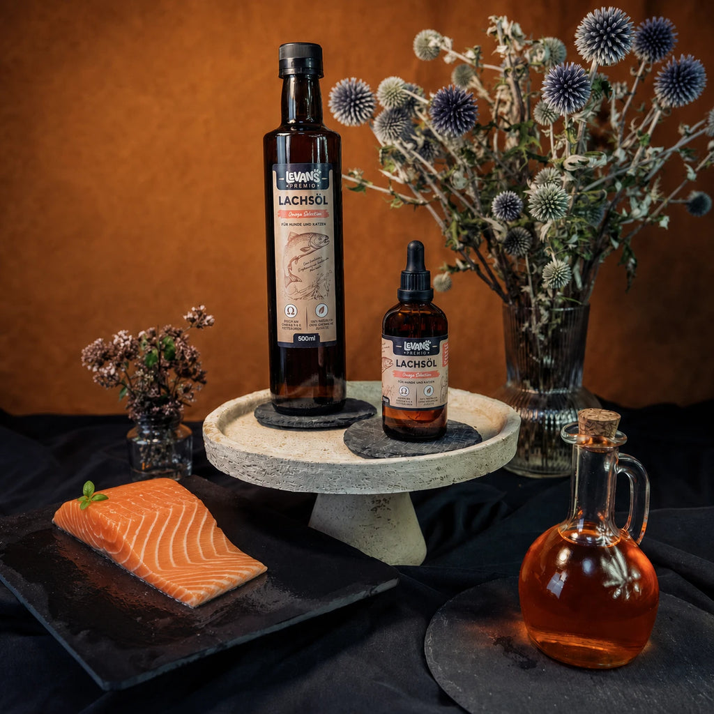 Salmon Oil