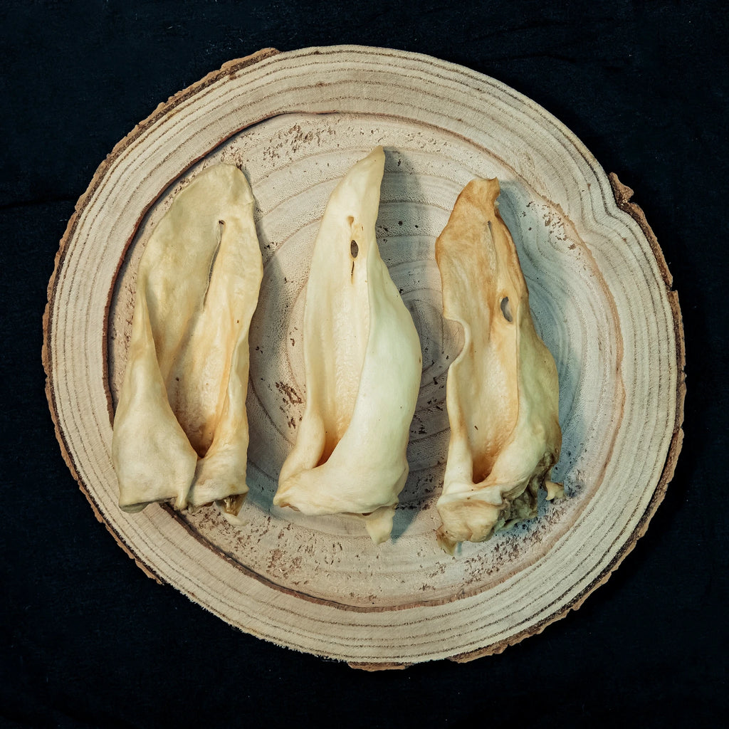 Lammohren