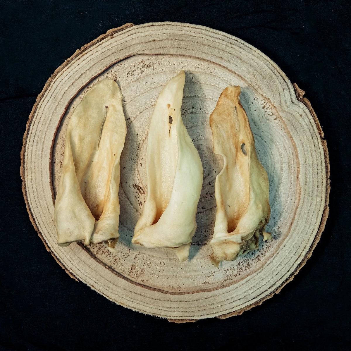 Lammohren